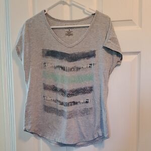 Sonoma Gray Graphic Tee with Blue and Green Accents